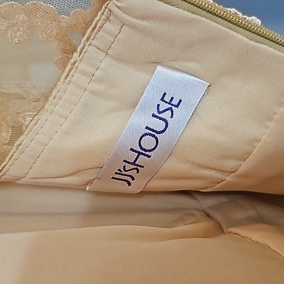 JJs House satin skirt delicate lace-embroidered bodice sheer short sleeves. - Picture 5 of 16